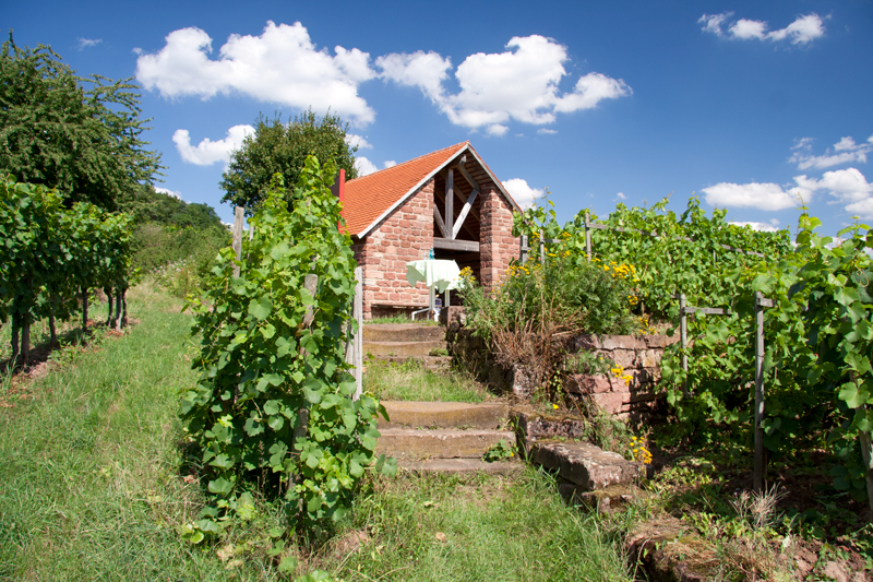 Aussicht Rastplatz