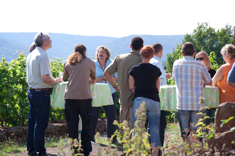 Wein und Geselligkeit